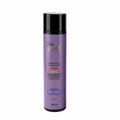 Salon Gold Inc Loira Shampoo unid x 300 ml - Salon Gold | Blondas Paraguay