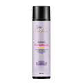 Salon Gold Inc Loira Acondi unid x 300 ml